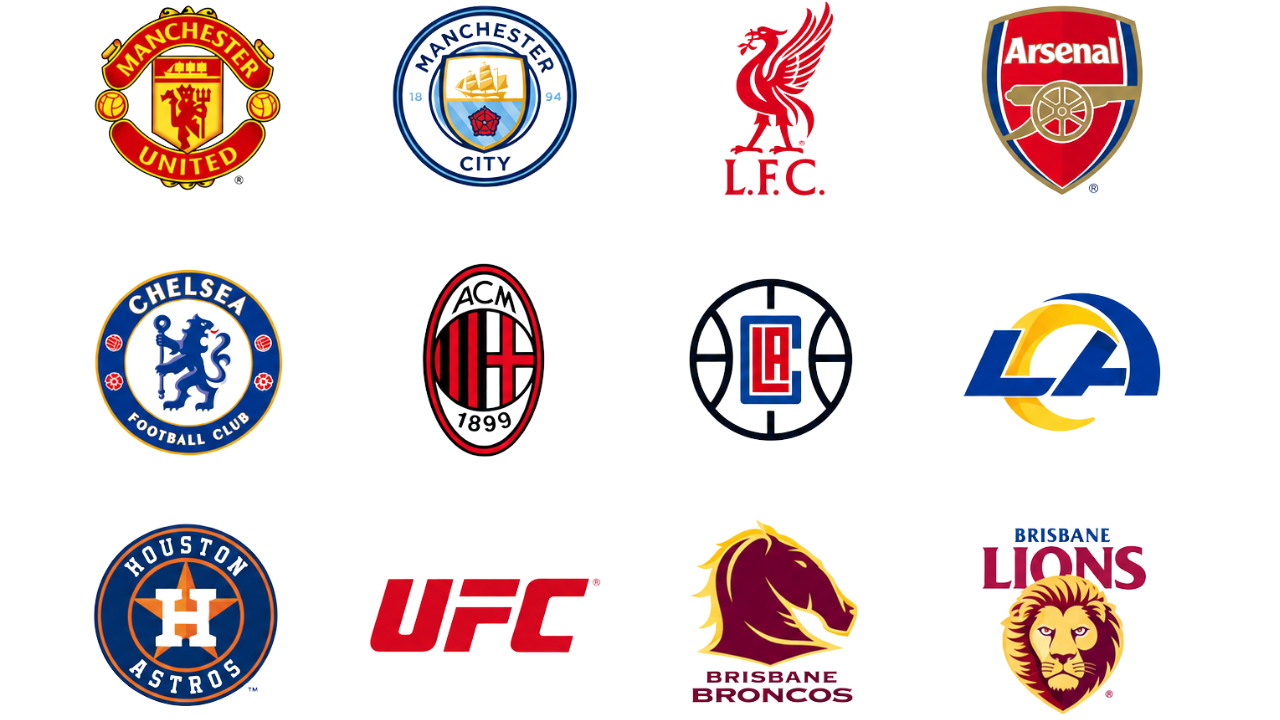 VALD customers — teams and leagues using VALD products